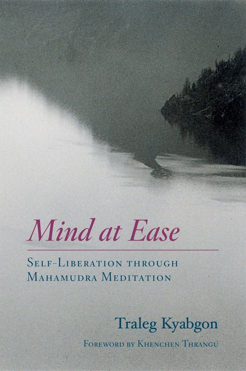 Mind At Ease: Selfliberation Through Mahamudra Meditation,Used