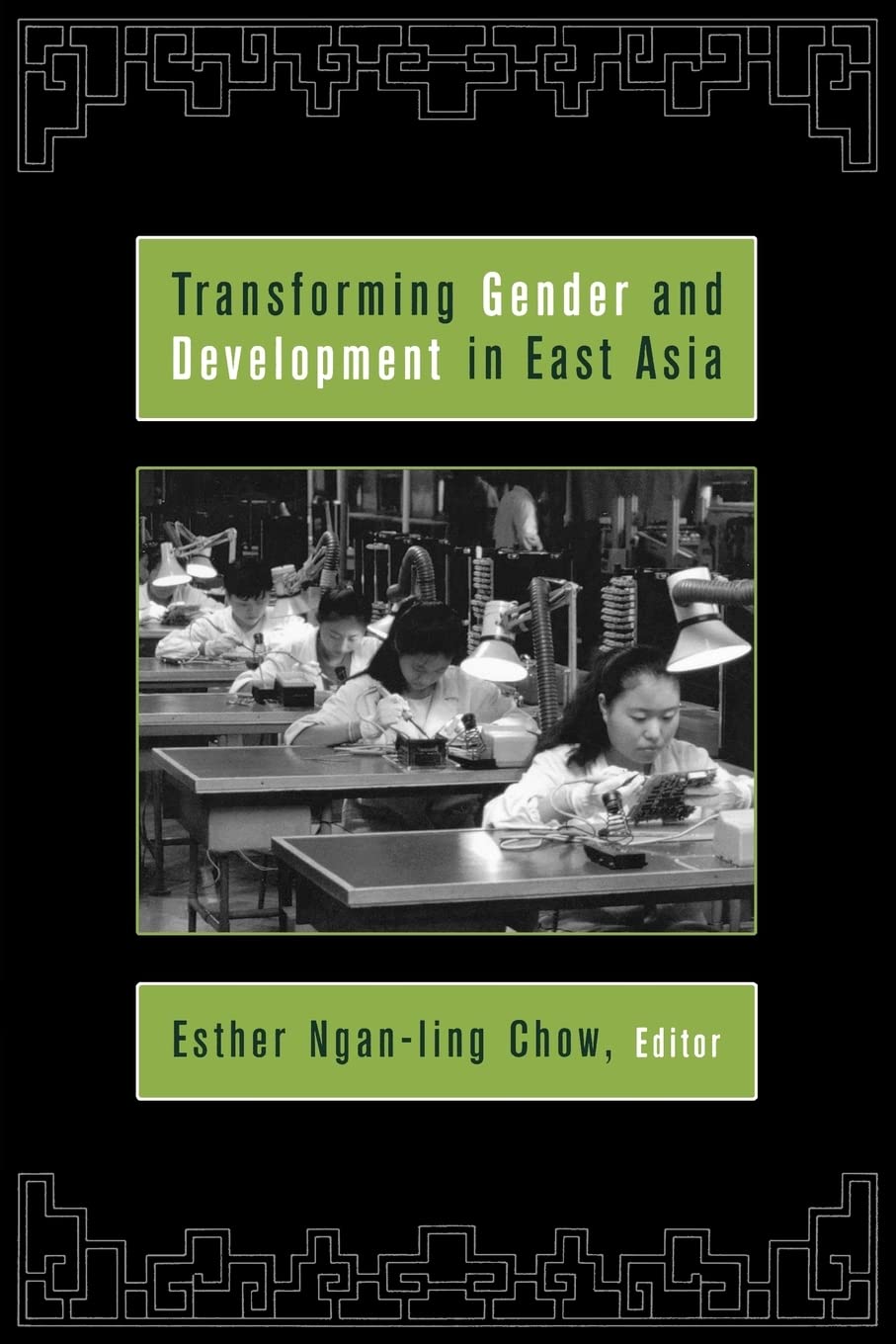 Transforming Gender and Development in East Asia,Used