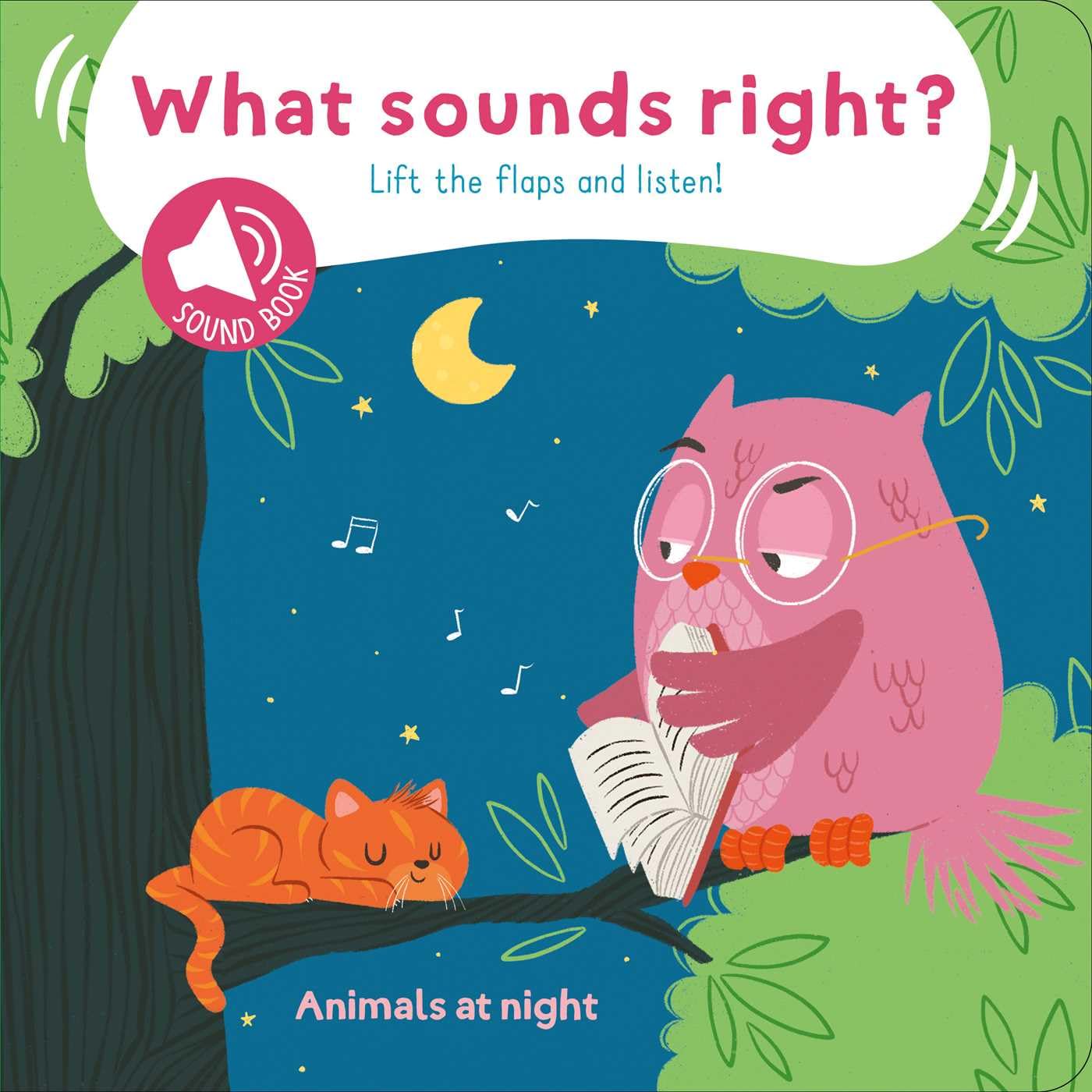 What Sounds Right?  Animals At Night