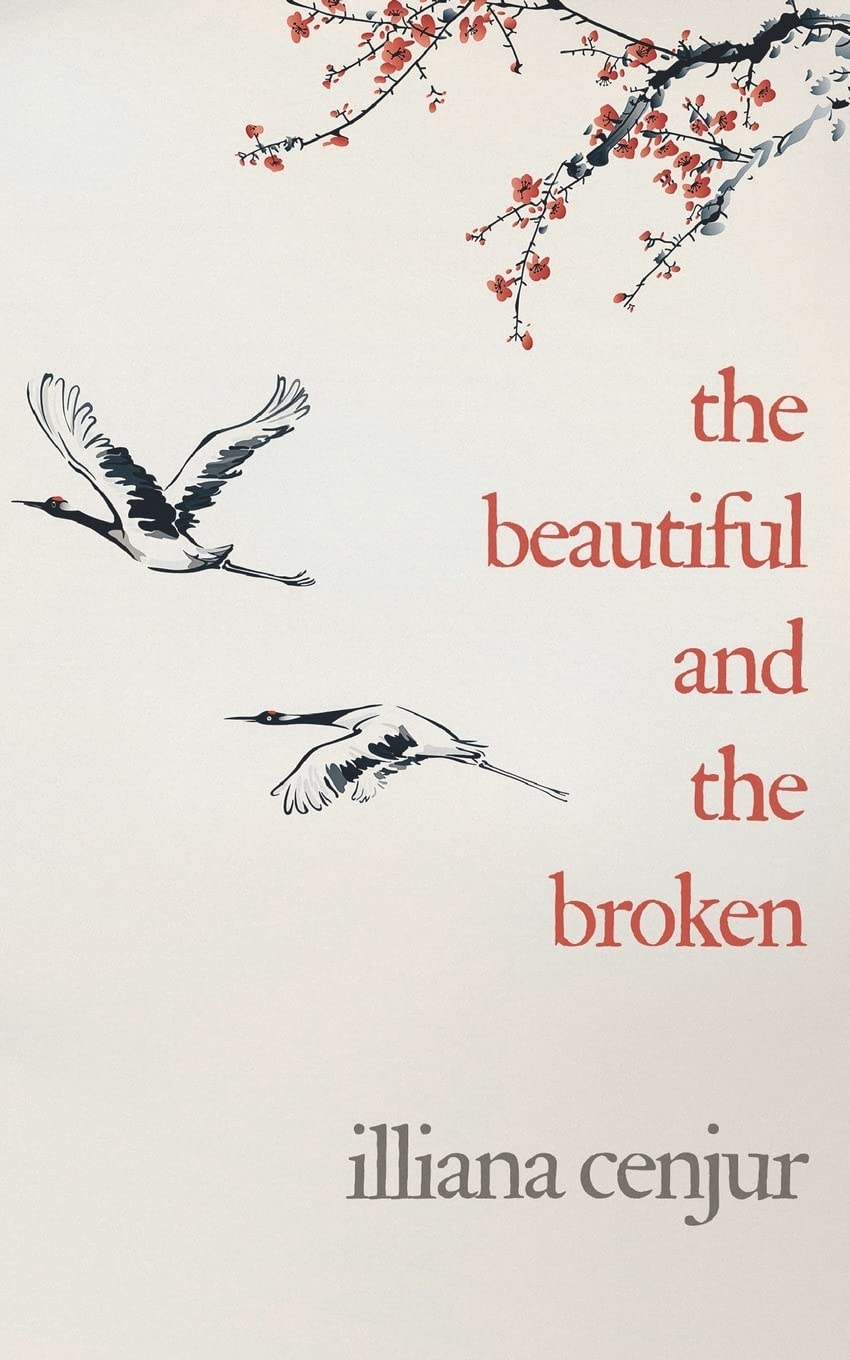 The Beautiful And The Broken,Used
