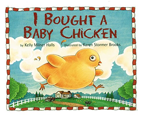 I Bought a Baby Chicken,Used