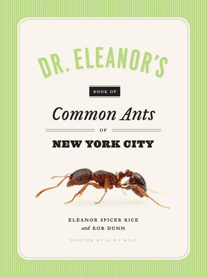Dr. Eleanor's Book of Common Ants of New York City,Used