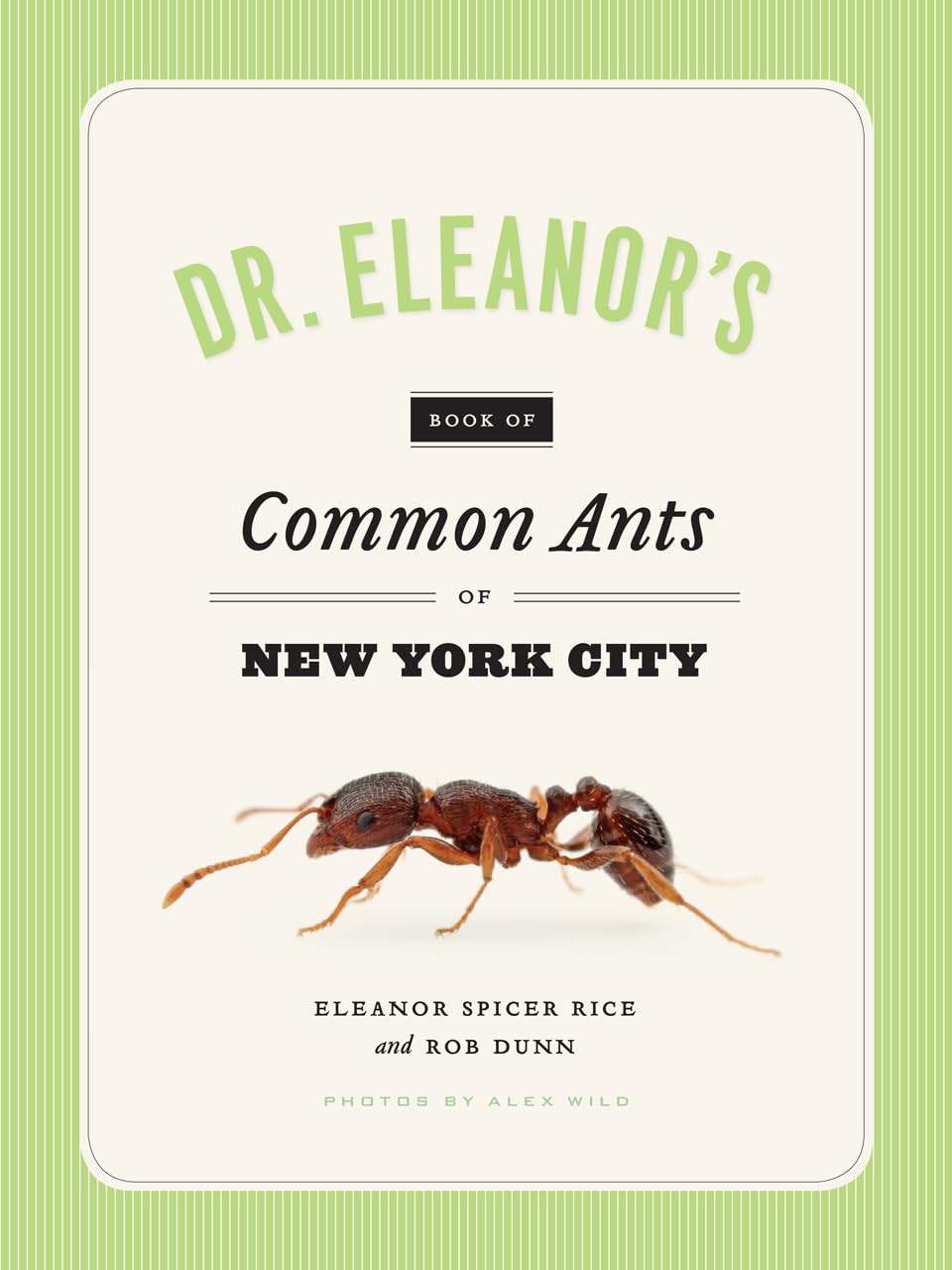Dr. Eleanor's Book of Common Ants of New York City,Used