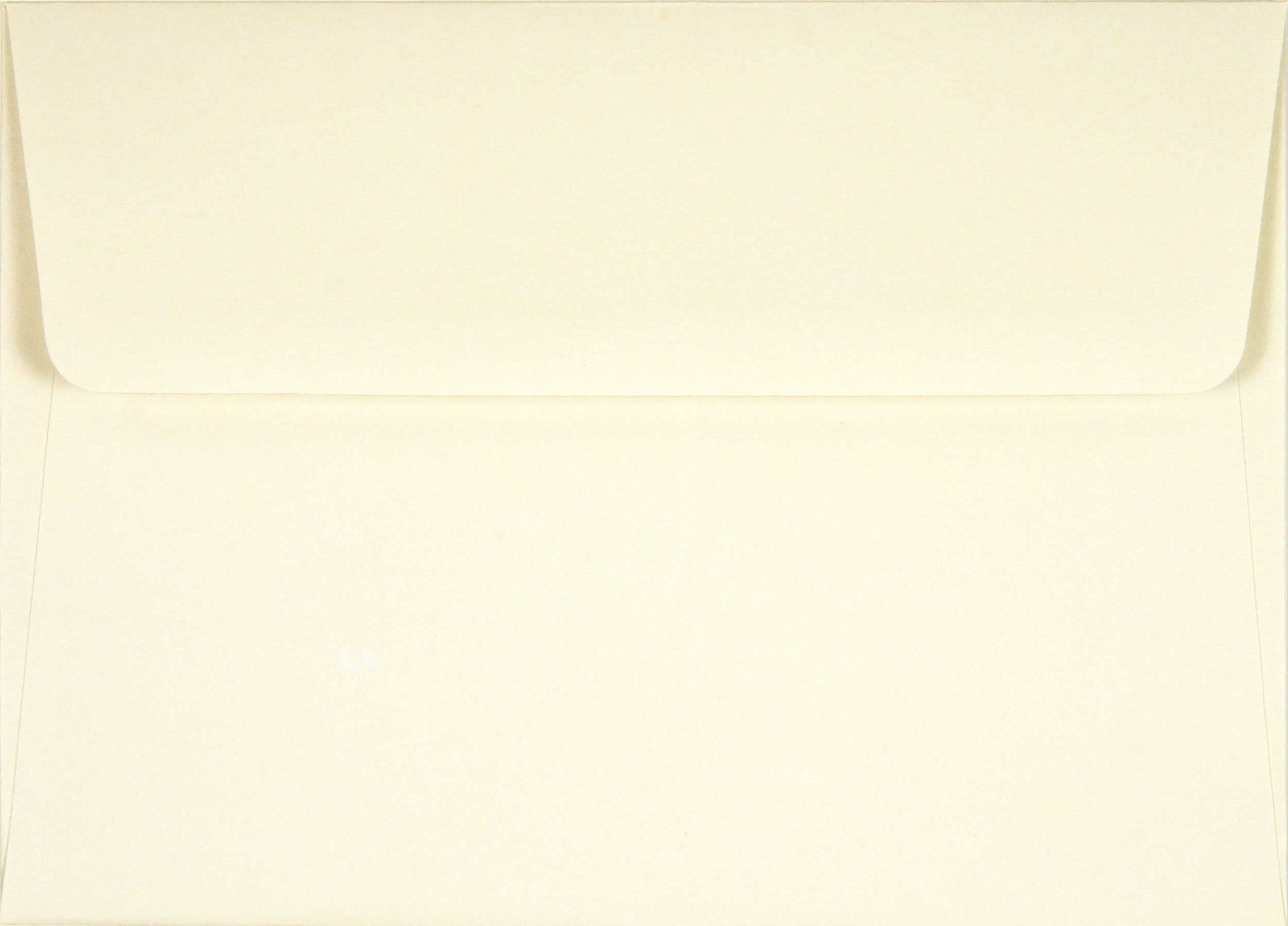 Hummingbird Flight Note Cards (Stationery, Boxed Cards),Used