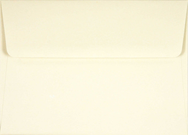 Hummingbird Flight Note Cards (Stationery, Boxed Cards),Used