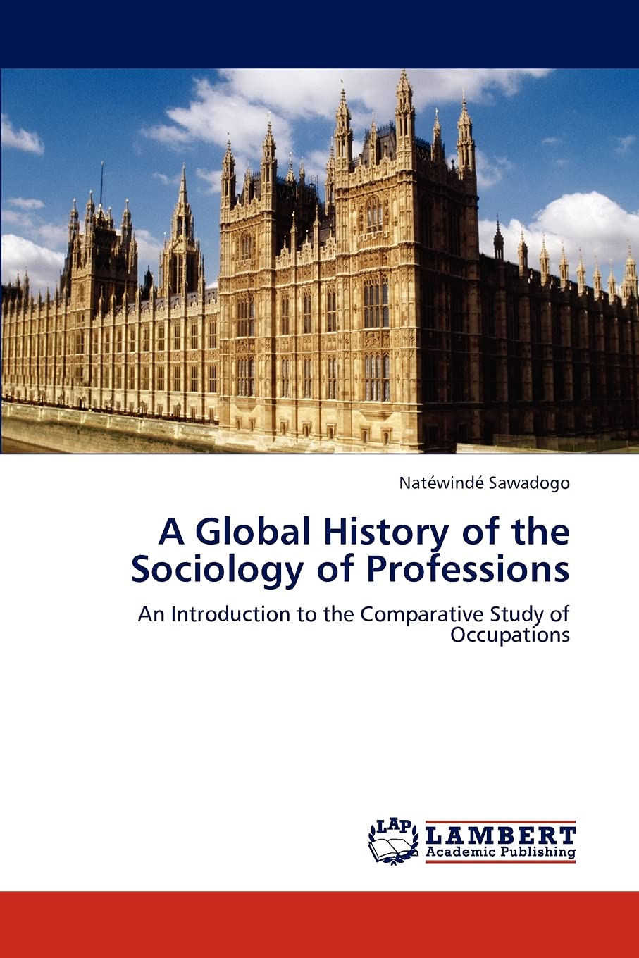 A Global History of the Sociology of Professions: An Introduction to the Comparative Study of Occupations,Used