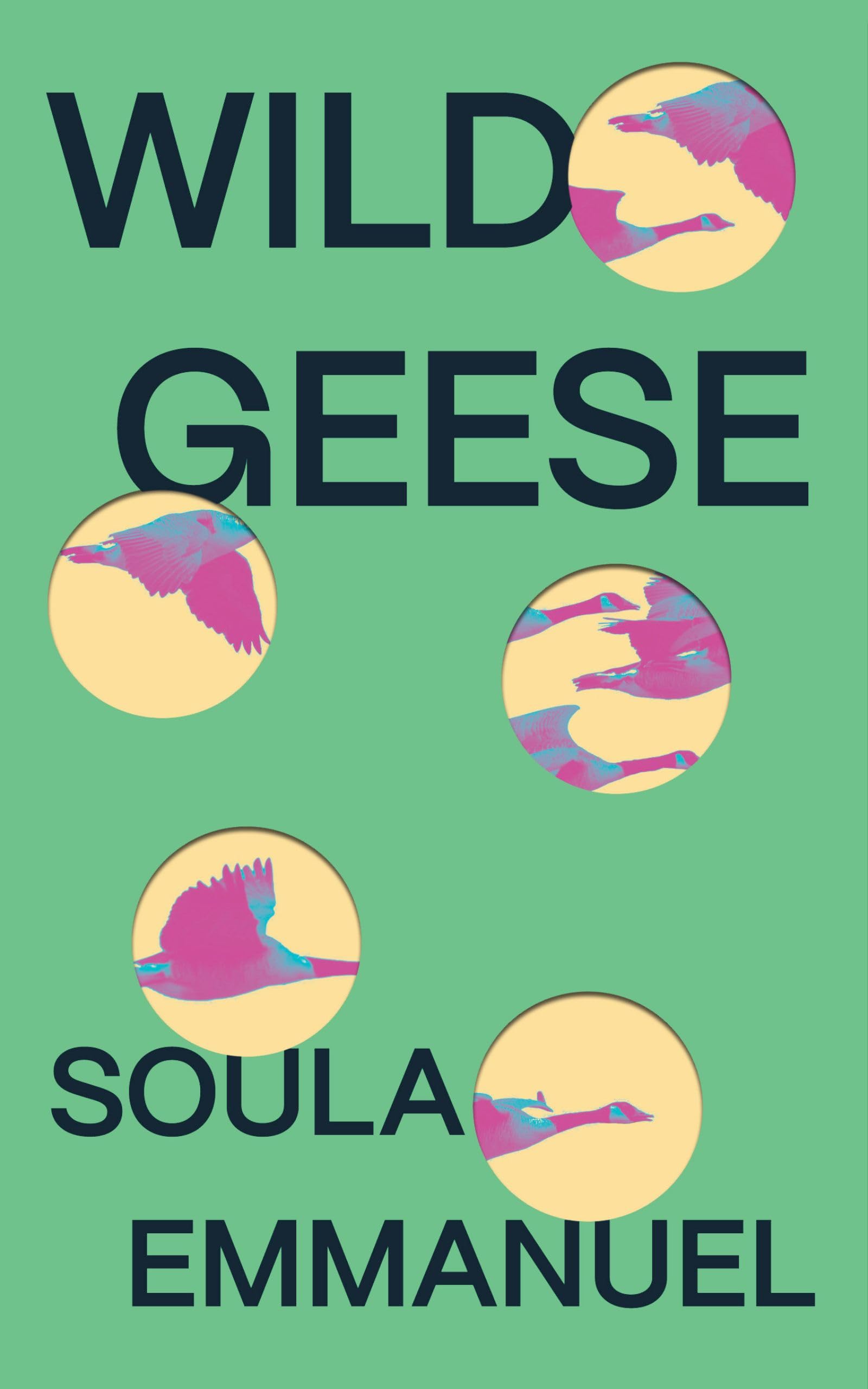 Wild Geese,Used
