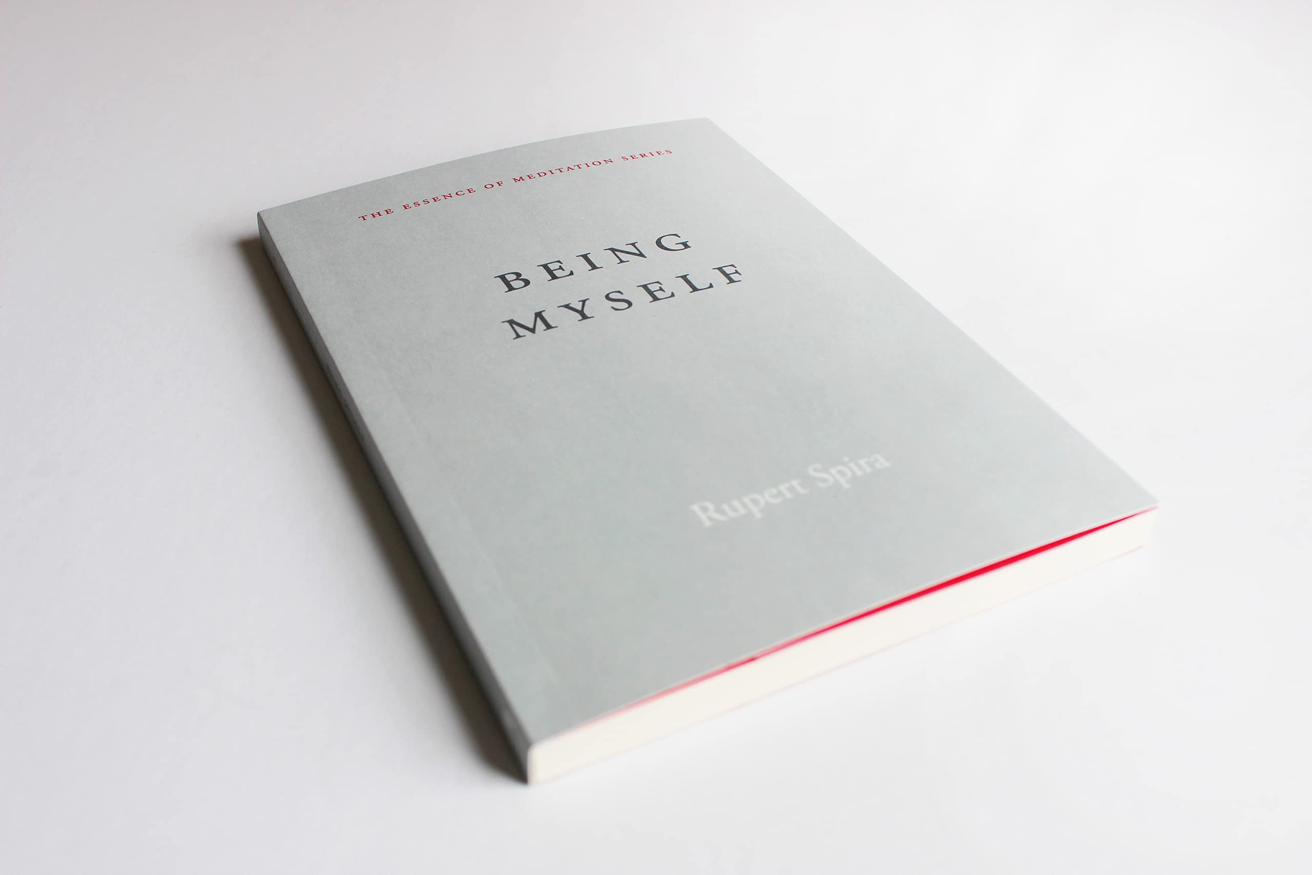 Living on the Earth: Celebrations, Storm Warnings, Formulas, Recipes, Rumors, and Country Dances Harvested by Alicia Bay Laurel.,Used