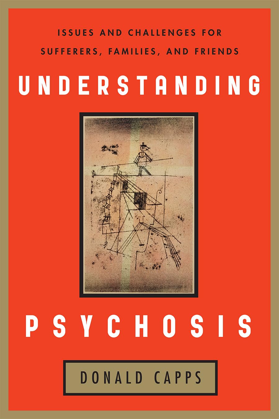 Understanding Psychosis: Issues, Treatments, and Challenges for Sufferers and Their Families,Used
