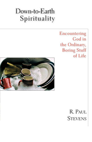 DowntoEarth Spirituality: Encountering God in the Ordinary, Boring Stuff of Life,Used