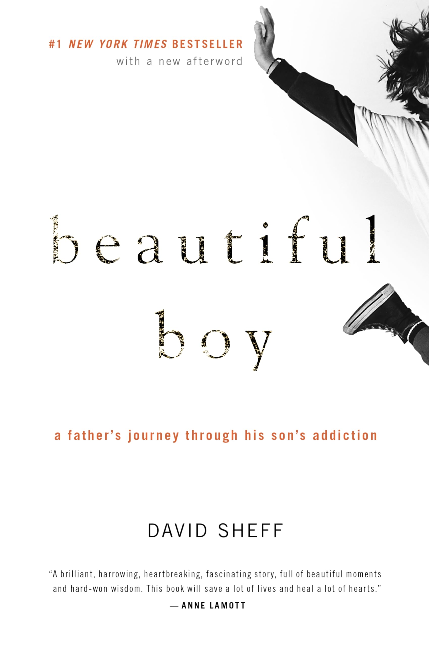 Beautiful Boy: A Father's Journey Through His Son's Addiction,Used
