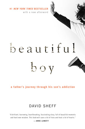 Beautiful Boy: A Father's Journey Through His Son's Addiction,Used