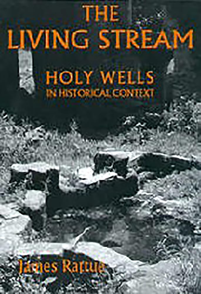 The Living Stream: Holy Wells In Historical Context,Used