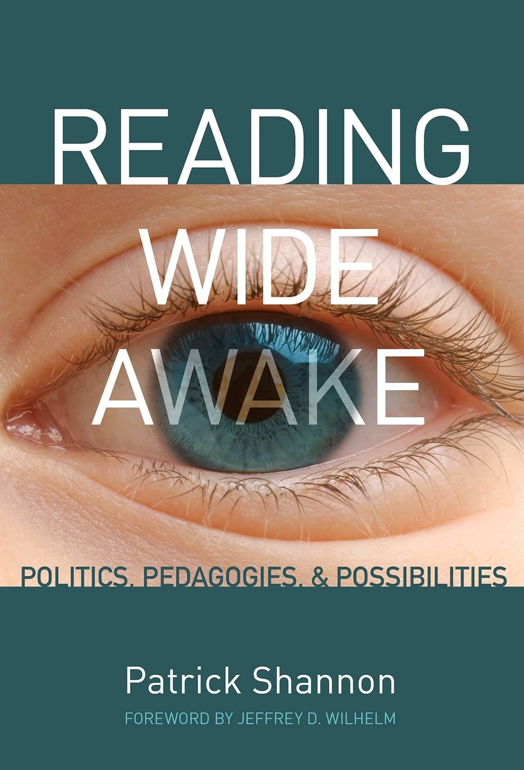 Reading Wide Awake: Politics, Pedagogies, and Possibilities,Used