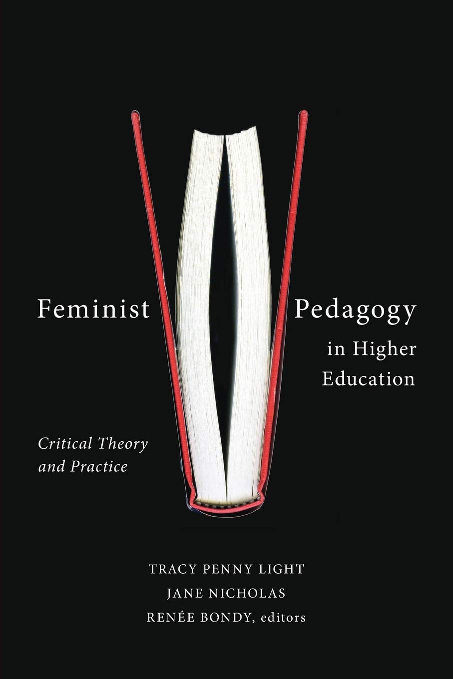 Feminist Pedagogy in Higher Education: Critical Theory and Practice,Used