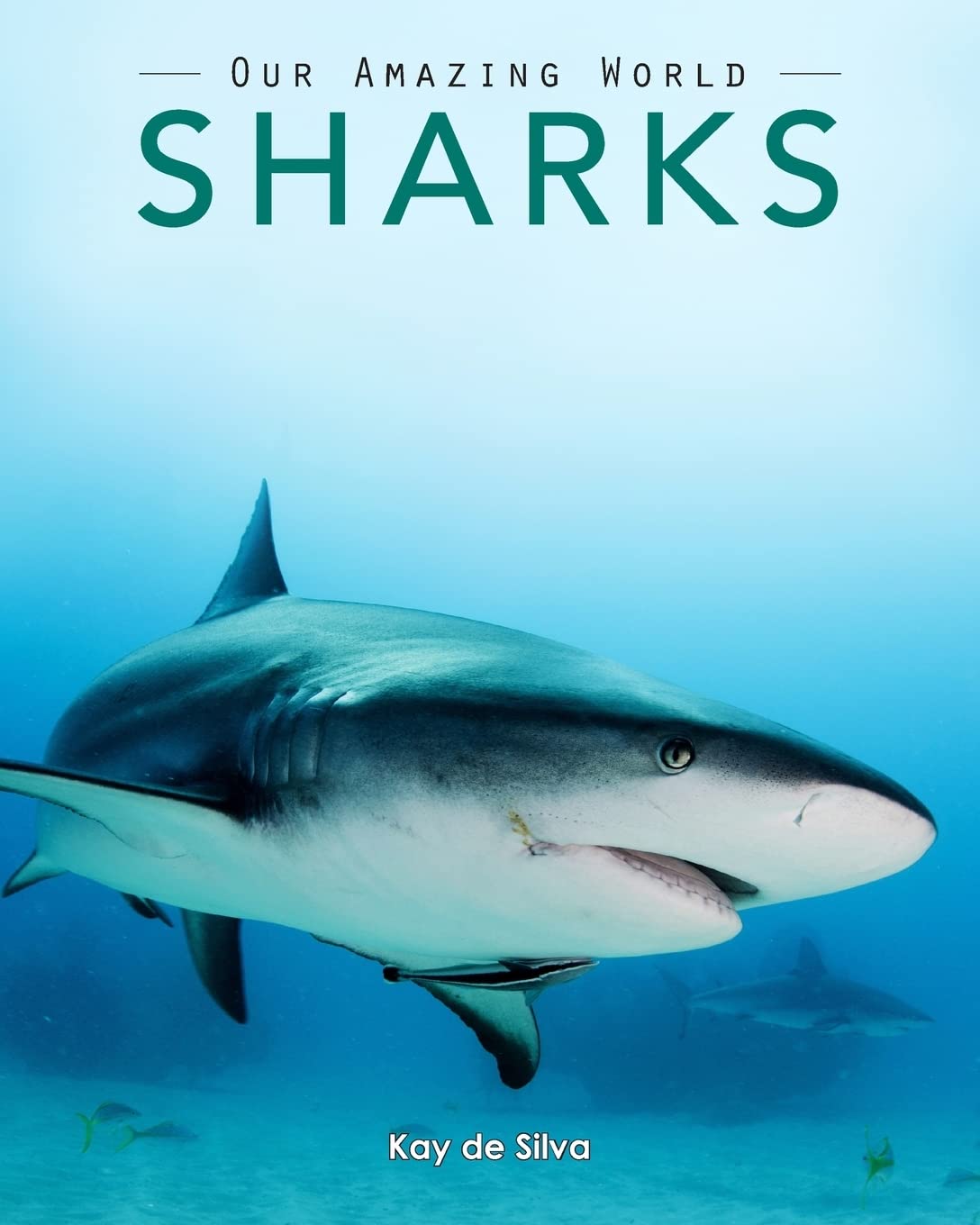 Sharks: Amazing Pictures & Fun Facts on Animals in Nature (Our Amazing World Series),Used