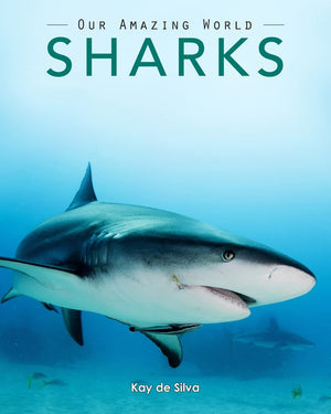 Sharks: Amazing Pictures & Fun Facts on Animals in Nature (Our Amazing World Series),Used