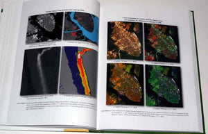 Introductory Digital Image Processing: A Remote Sensing Perspective,New