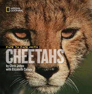 Face to Face With Cheetahs (Face to Face with Animals),Used