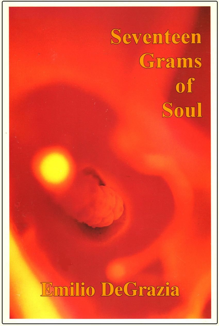 Seventeen Grams of Soul,Used