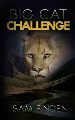 Big Cat Challenge,Used