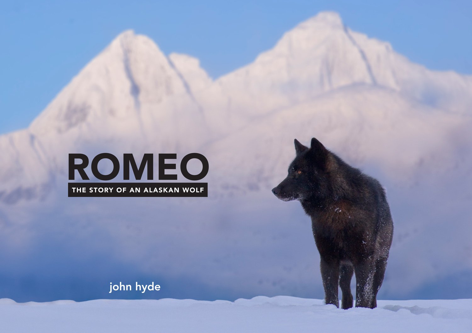 Romeo: The Story of an Alaskan Wolf,Used