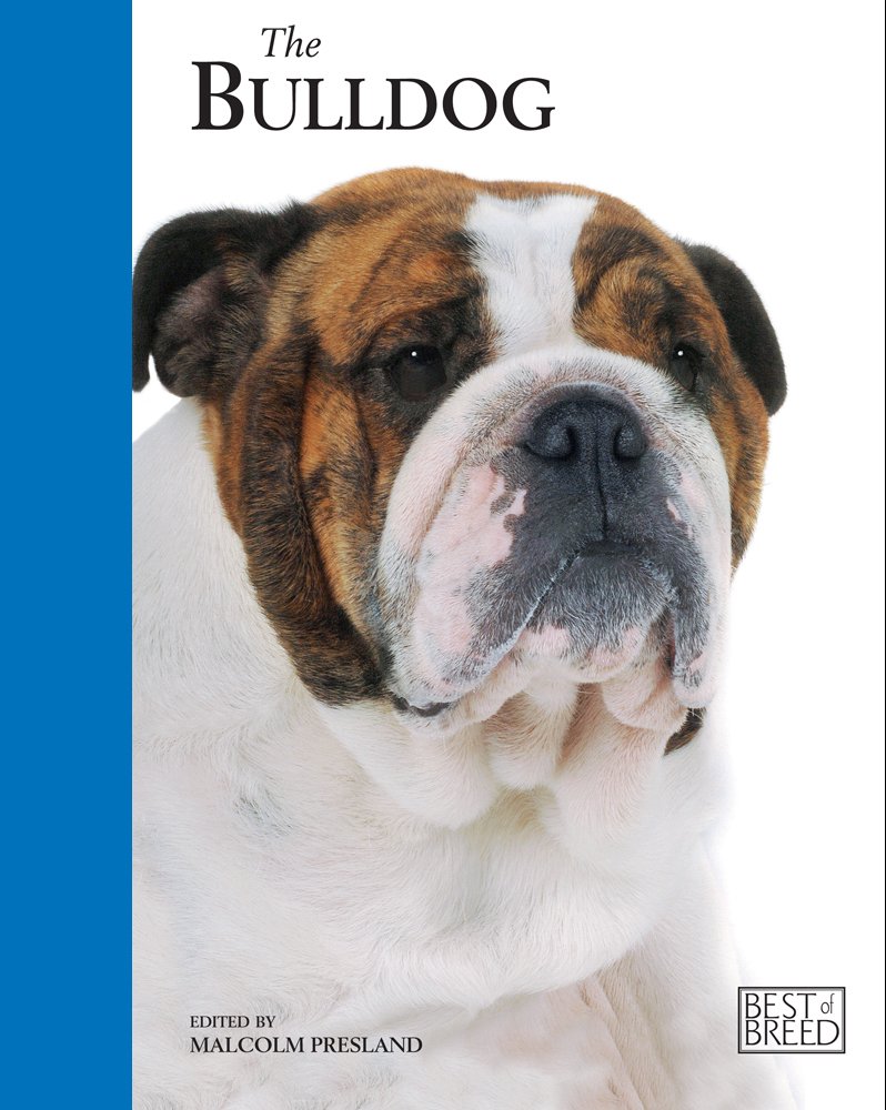 The Bulldog (Best Of Breed),Used