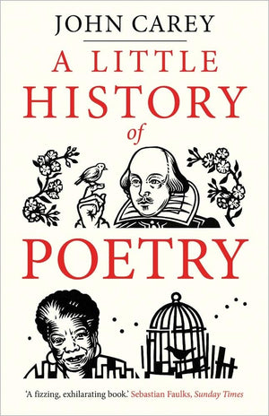 A Little History of Poetry (Little Histories),New