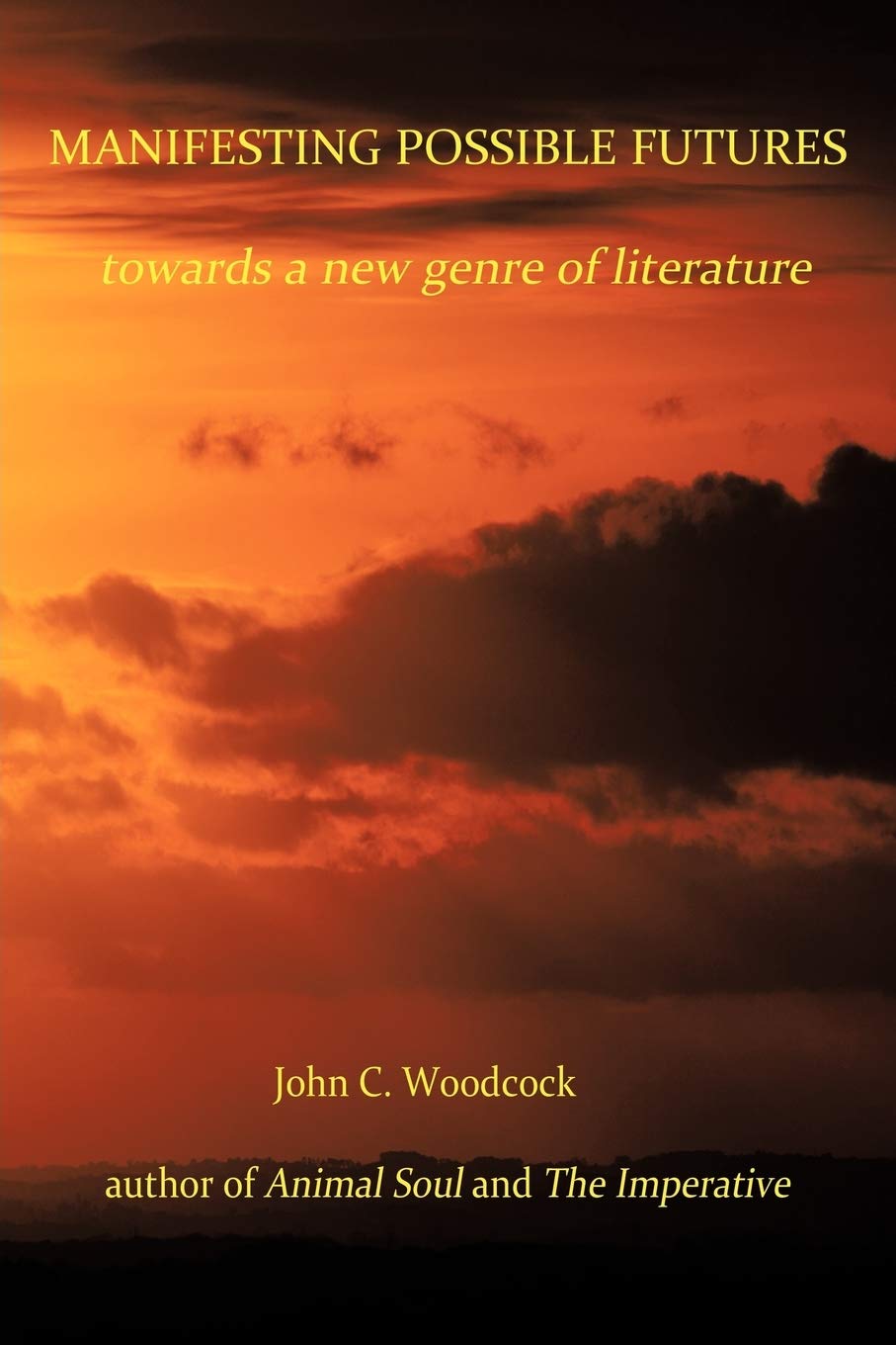 Manifesting Possible Futures: Towards A New Genre Of Literature,Used