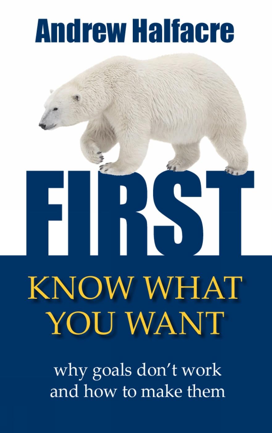 First, Know What You Want  why goals don't work and how to make them,Used