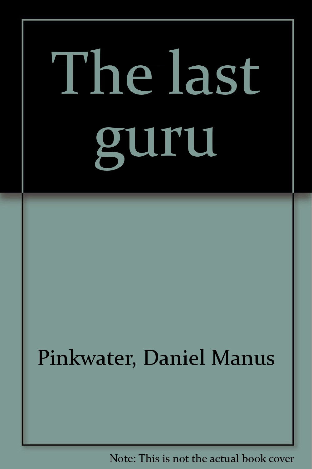 The Last Guru-used