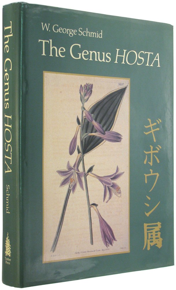 The Genus Hosta,Used