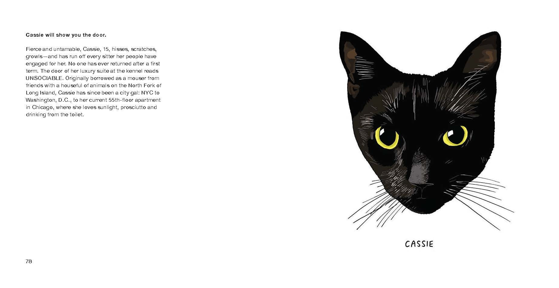 All Black Cats Are Not Alike