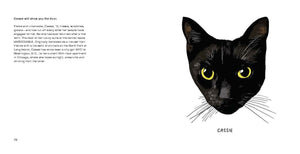 All Black Cats Are Not Alike