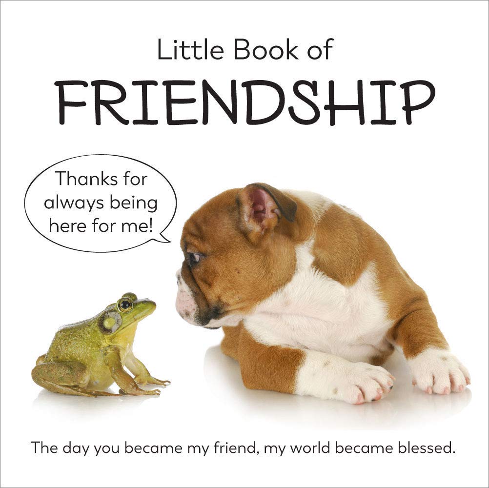 Little Book of Friendship,Used
