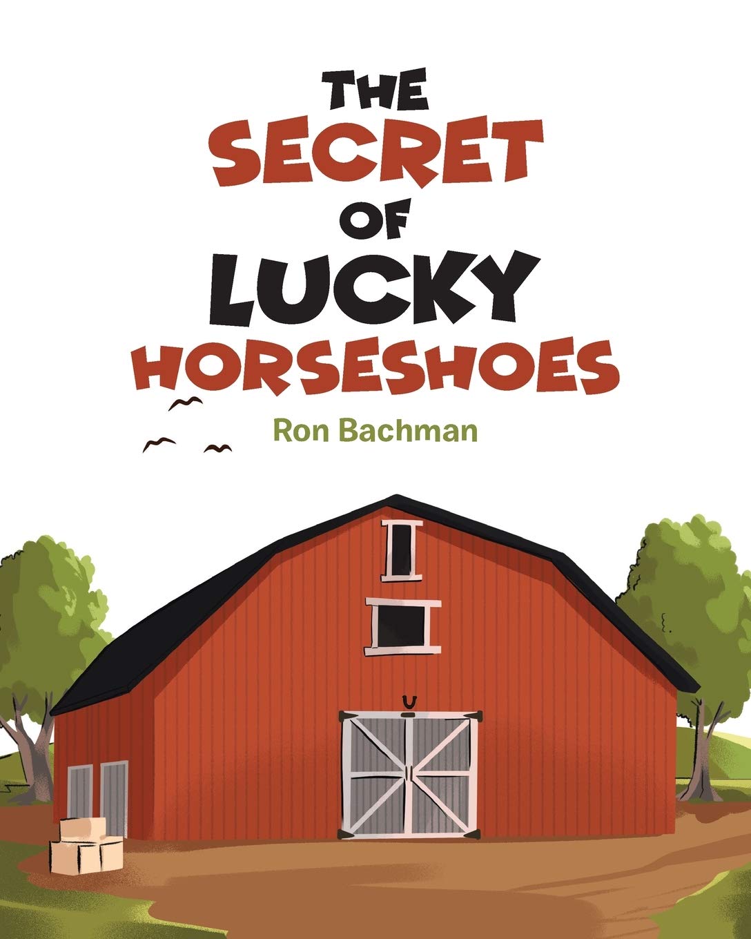 The Secret of Lucky Horseshoes,Used