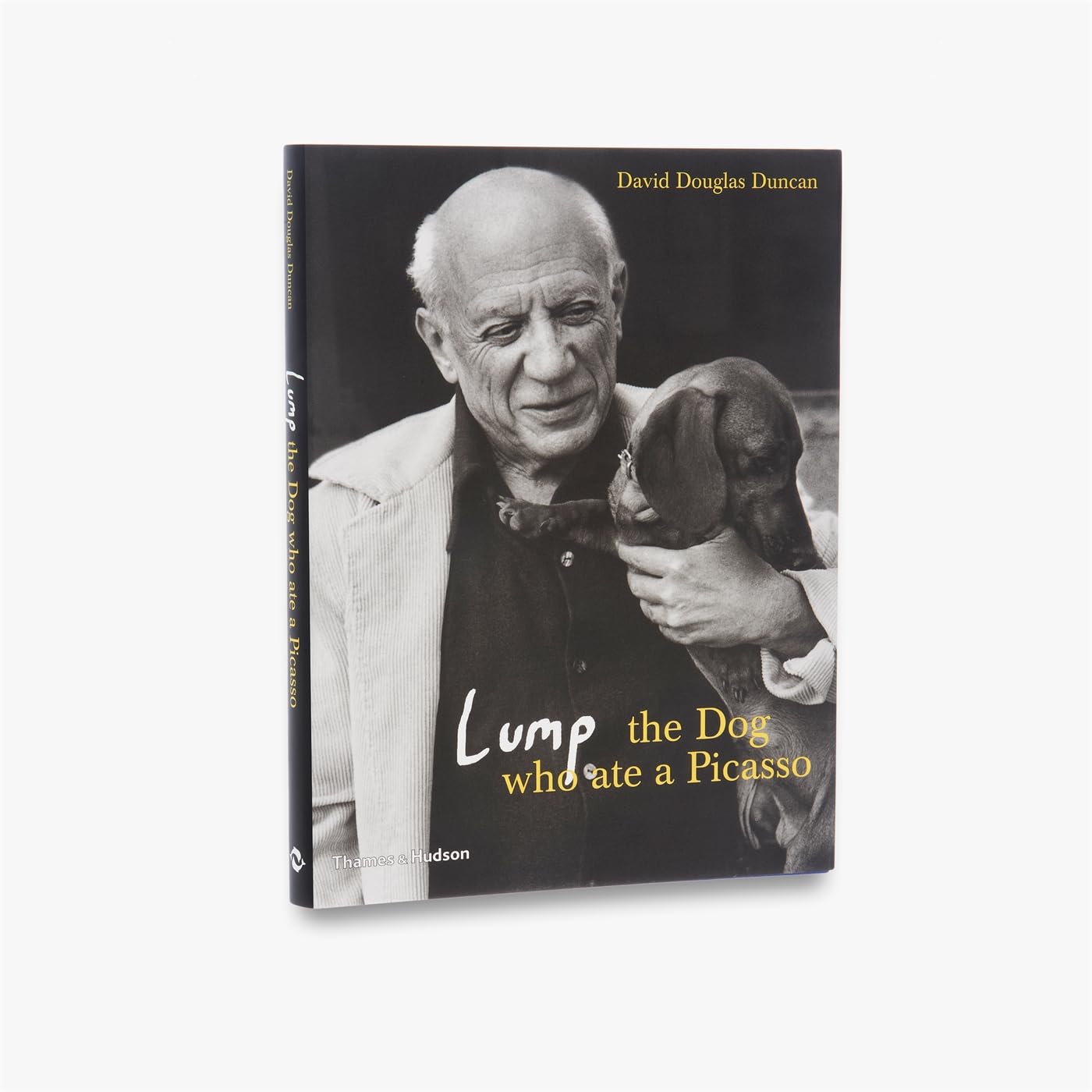 Lump : The Dog who ate a Picasso /anglais,Used