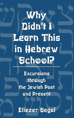 Why Didn't I Learn This in Hebrew School?: Excursions Through the Jewish Past and Present,Used