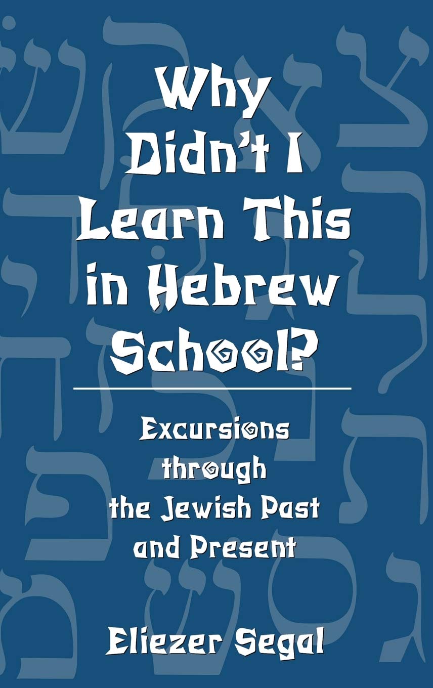 Why Didn't I Learn This in Hebrew School?: Excursions Through the Jewish Past and Present,Used