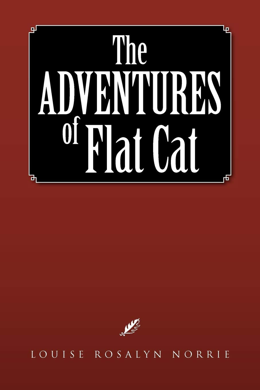 The Adventures Of Flat Cat,Used