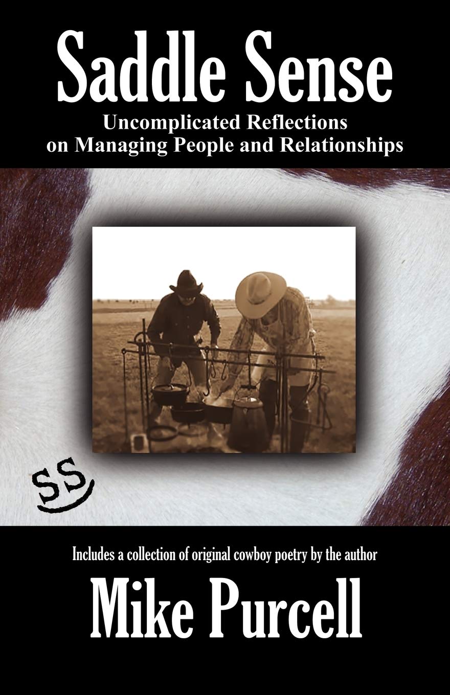 Saddle Sense: Uncomplicated Reflections on Managing People and Relationships,Used