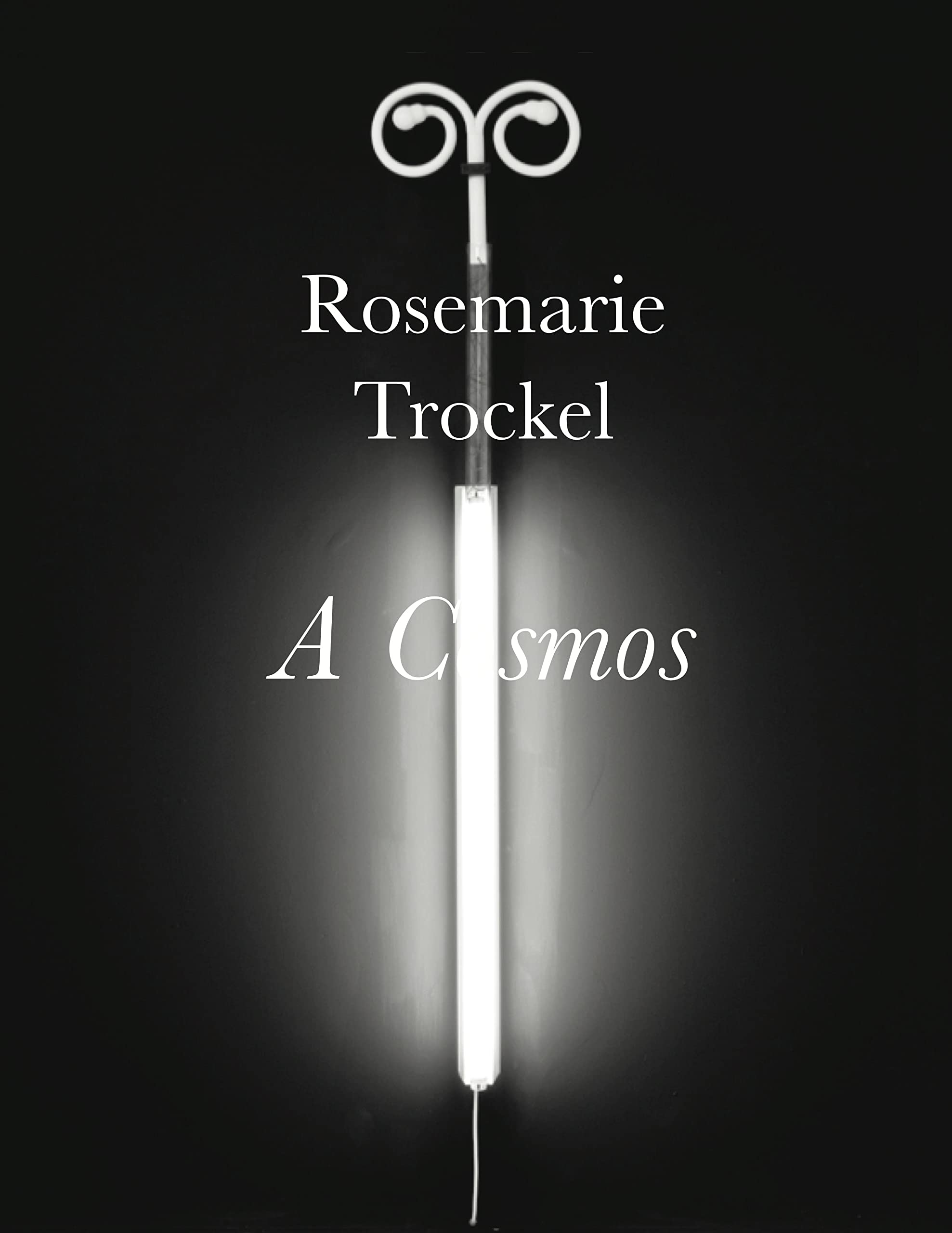 Rosemarie Trockel: A Cosmos