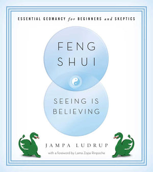 Feng Shui: Seeing Is Believing: Essential Geomancy for Beginners and Skeptics,Used