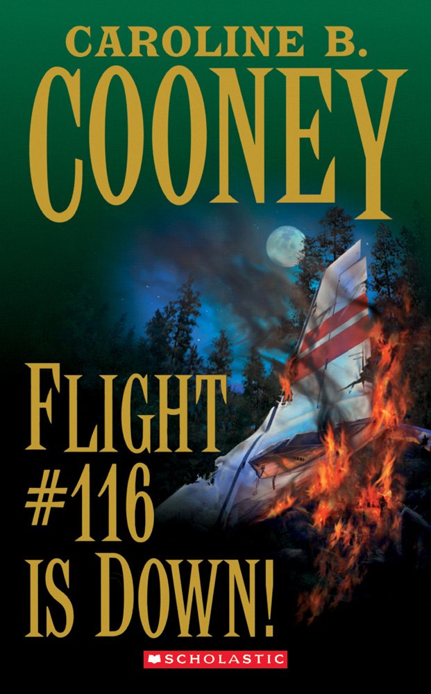 Flight #116 Is Down! (Point)