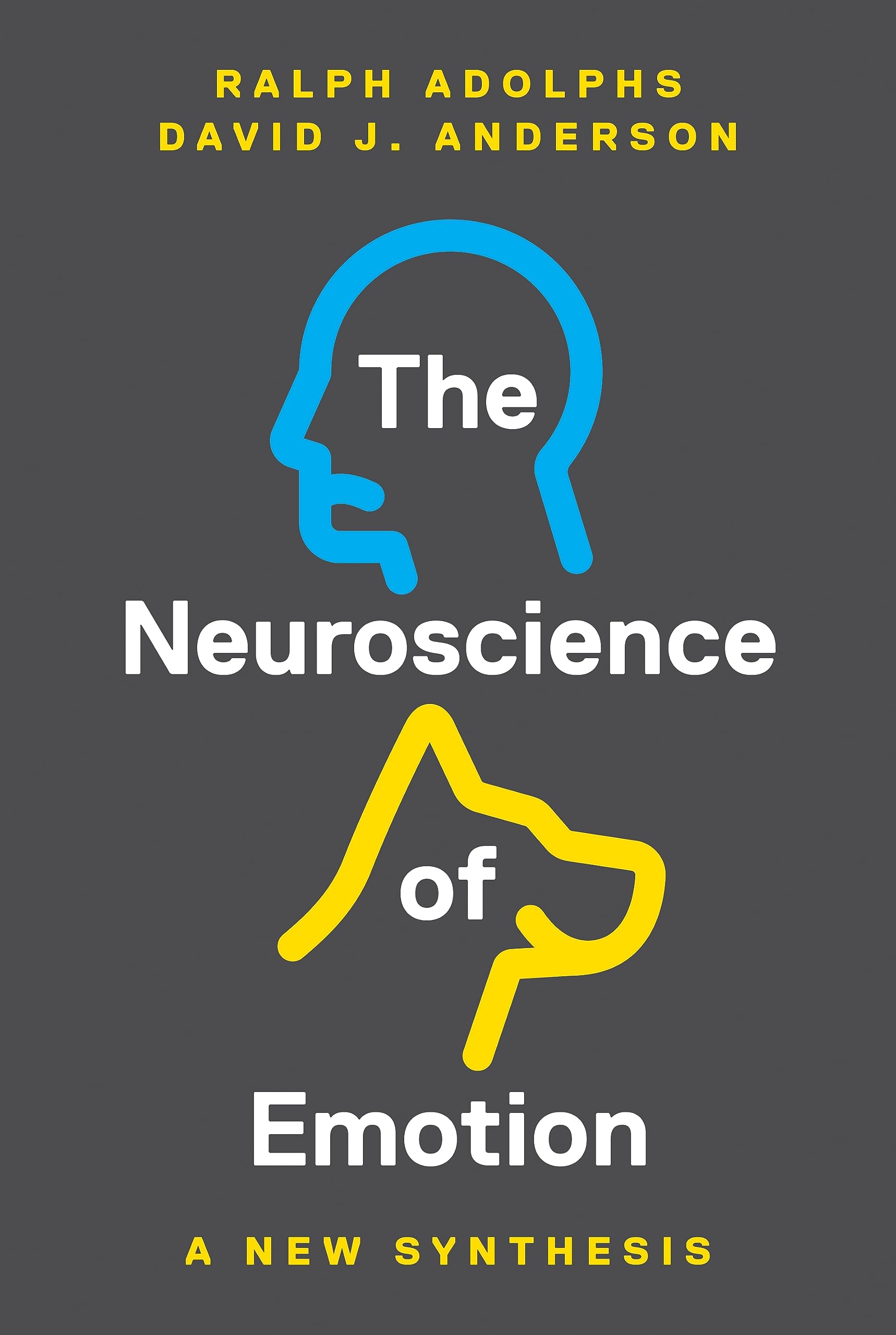 The Neuroscience Of Emotion: A New Synthesis,Used