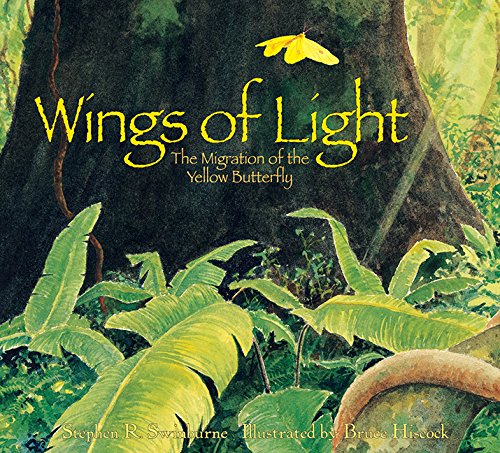 Wings of Light,New