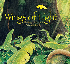 Wings of Light,Used