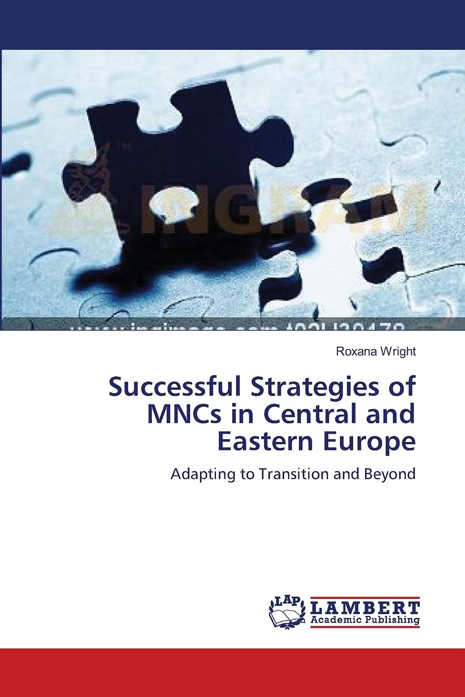 Successful Strategies of MNCs in Central and Eastern Europe: Adapting to Transition and Beyond,Used