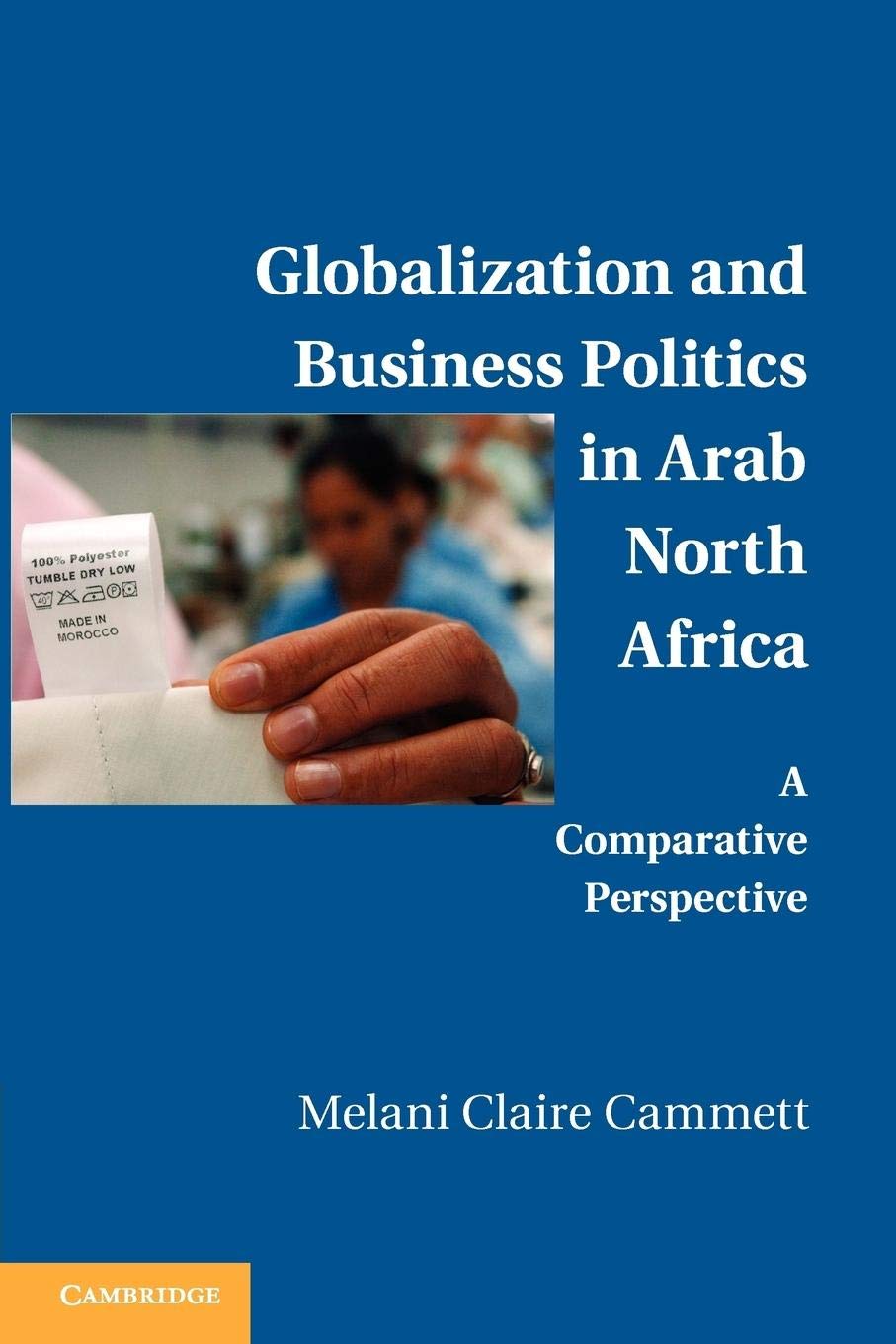 Globalization and Business Politics in Arab North Africa: A Comparative Perspective,Used