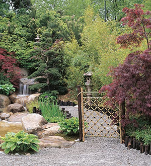 Serene Gardens: Creating Japanese Design and Detail in the Western Garden (IMM Lifestyle Books) Practical Introduction to the Tr,Used